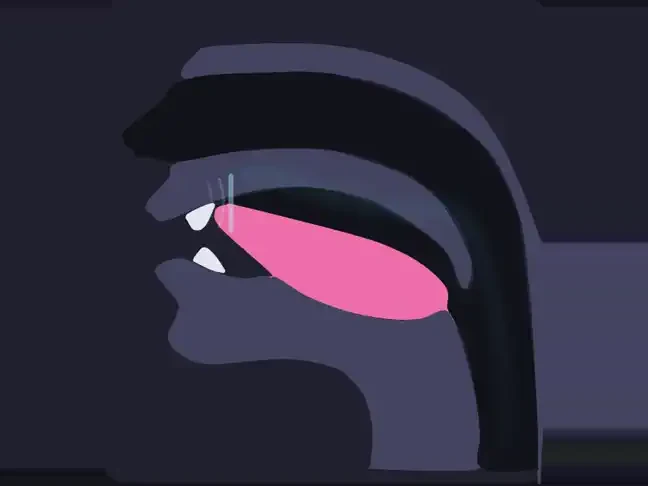 Animation of stopping with the tongue held in place on a final consonant