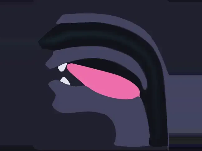 Animation of a nasal like ㄴ, air sent through the nose