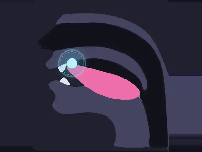 Animation marking where in the mouth the sound is formed